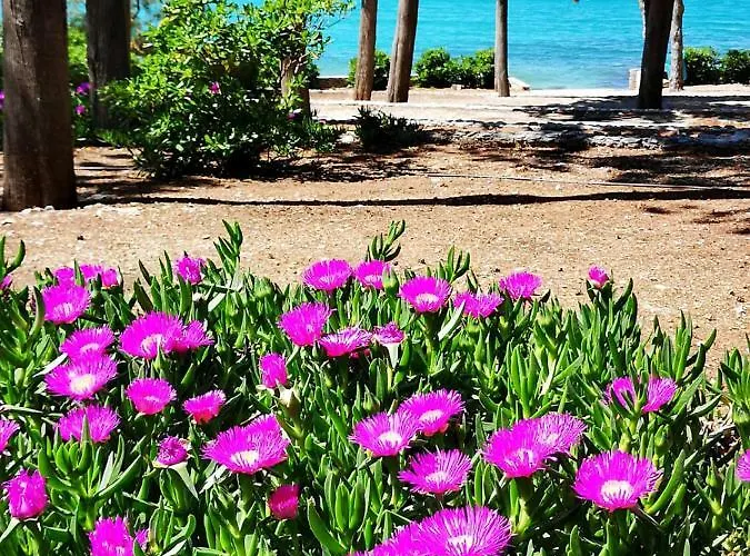 Pavarotti Holiday home Supetar